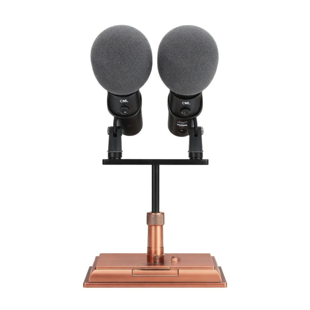Harmonai CM-502 Professional Speech Condenser Microphone — Dual-Mic Kit for Clear Conference & Presentation Audio